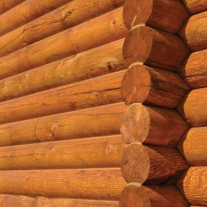 Log & Timber Restoration